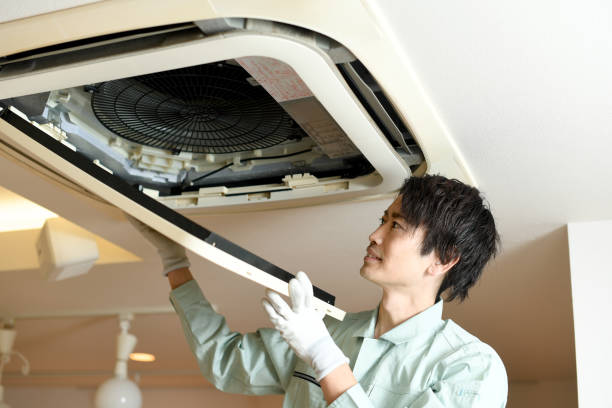 Best Air Vent Cleaning Services  in Niles, OH